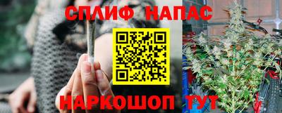 apvp Славгород