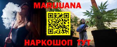 apvp Славгород