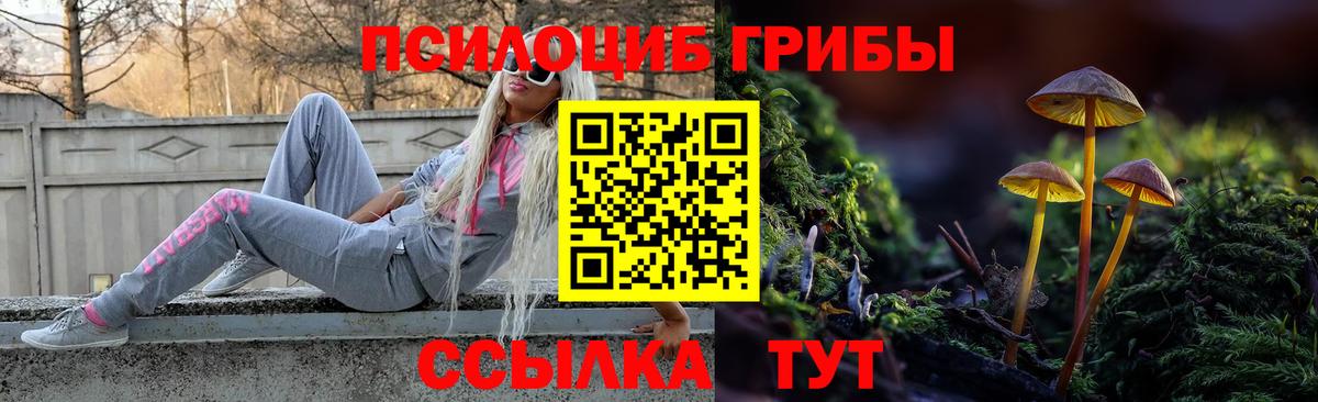 Карабулак  купить наркоту  Вход с VPN  Галлюциногенные грибы мухоморы 